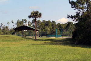 Pierson Municipal Park