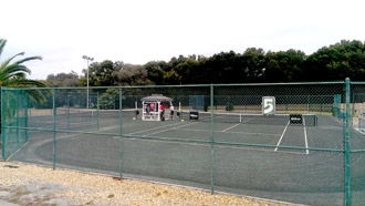 Brandywine Tennis Court