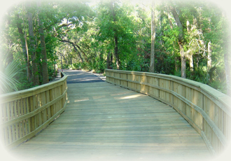 Springs To Springs Trail