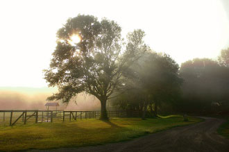 Deep Creek Stables