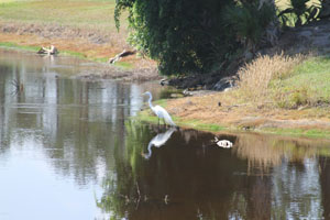 Hidden Lakes Golf Course