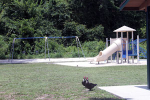 Lake Dias Park