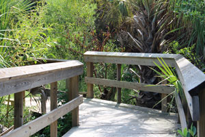 North Peninsula Trail