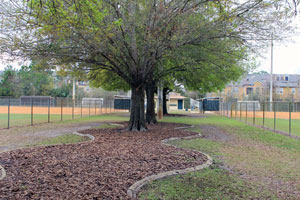 Robert Strickland Park