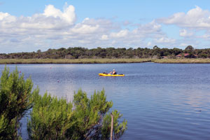Tomoka River State Canoe Trail