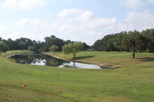 Turnbull Bay Golf & Country Club