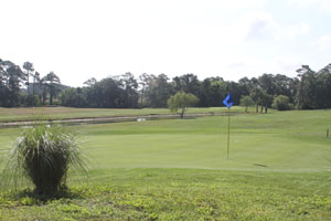 Turnbull Bay Golf & Country Club